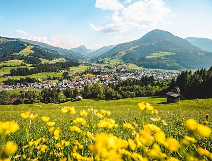 Gelbe Blumen im Vordergrund, dahinter ein grünes Tal mit Blick auf Kirchberg, umgeben von bewaldeten Hügeln und Bergen unter blauem Himmel